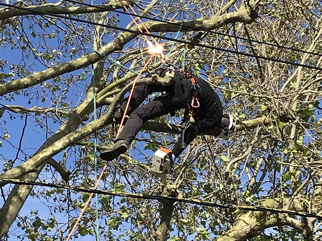 Réalisations - Côté Jardin