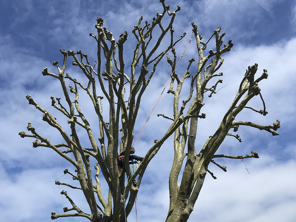 Réalisations - Côté Jardin