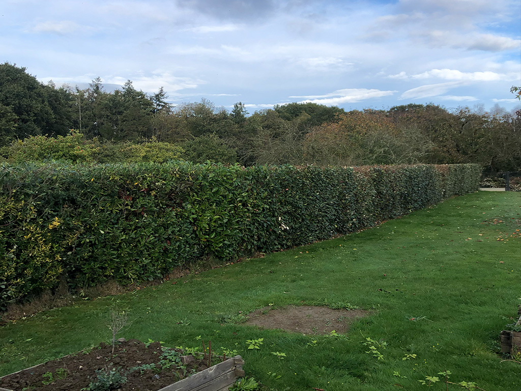 Réalisations - Côté Jardin